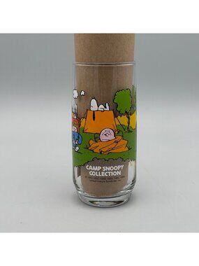 Camp Snoopy McDonalds Collectible Glass 1980s Peanuts Not Being Properly Prepare